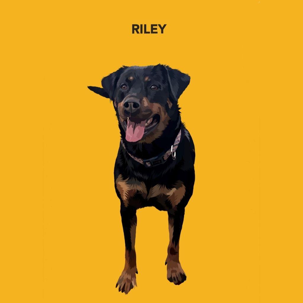 Custom dog portrait on Yellow background — contemporary style personalised digital artwork