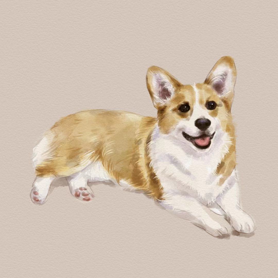 semi_realistic_portraitCreated from your favorite photo